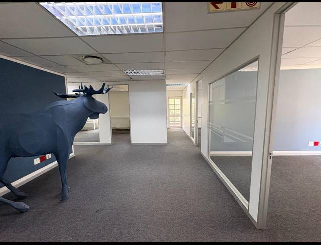 1,390M² OFFICE FOR SALE IN WITKOPPEN